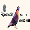 Pigeoncoin