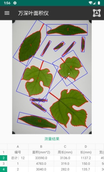 万深植物图像分析仪 第2张