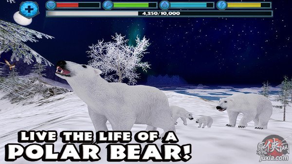 终极北极熊模拟器 第1张