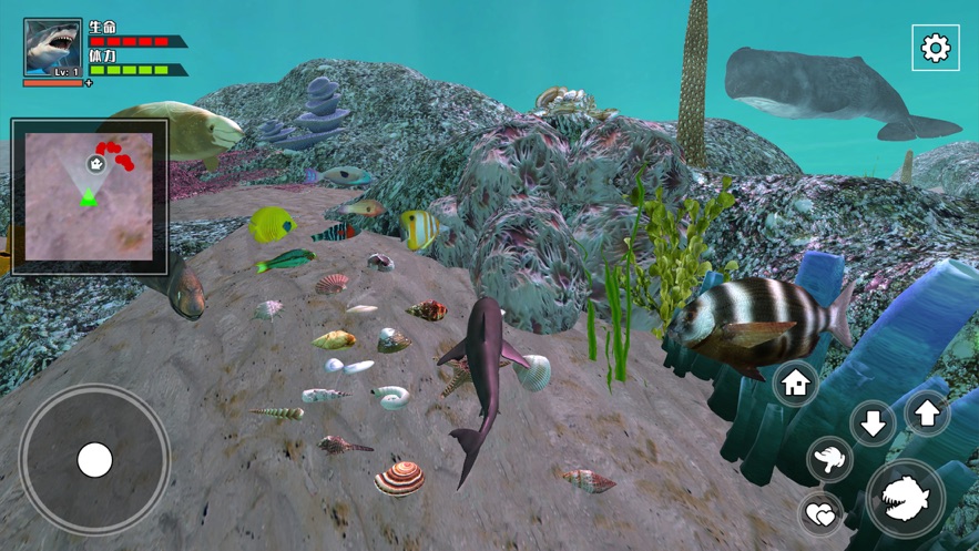 3D海底大猎杀 第3张