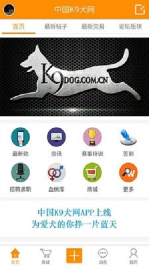 中国K9犬网 第3张
