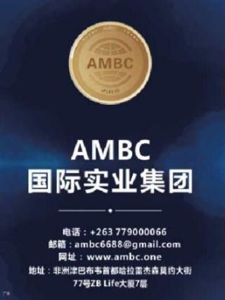AMBC虚拟货币 第3张