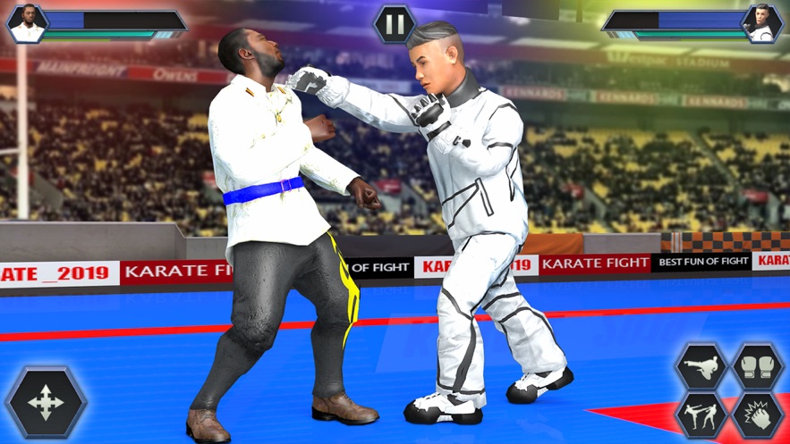 Real Karate Fight Punch 2020 第2张